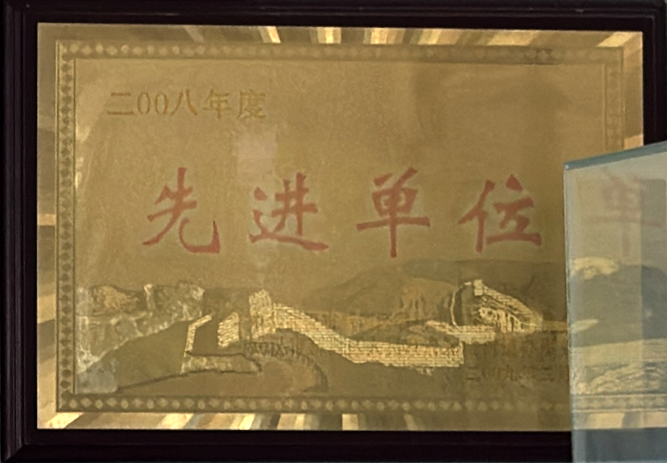 荣誉证书 9