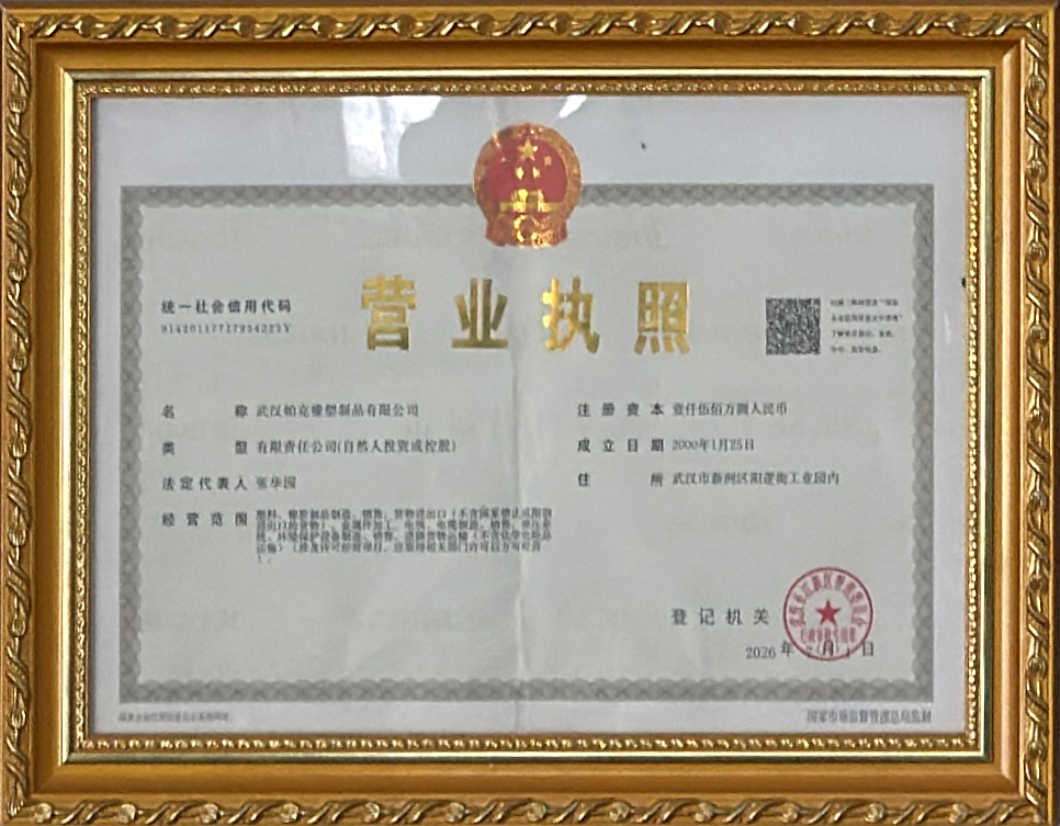 荣誉证书 11