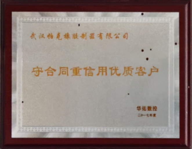 荣誉证书 13