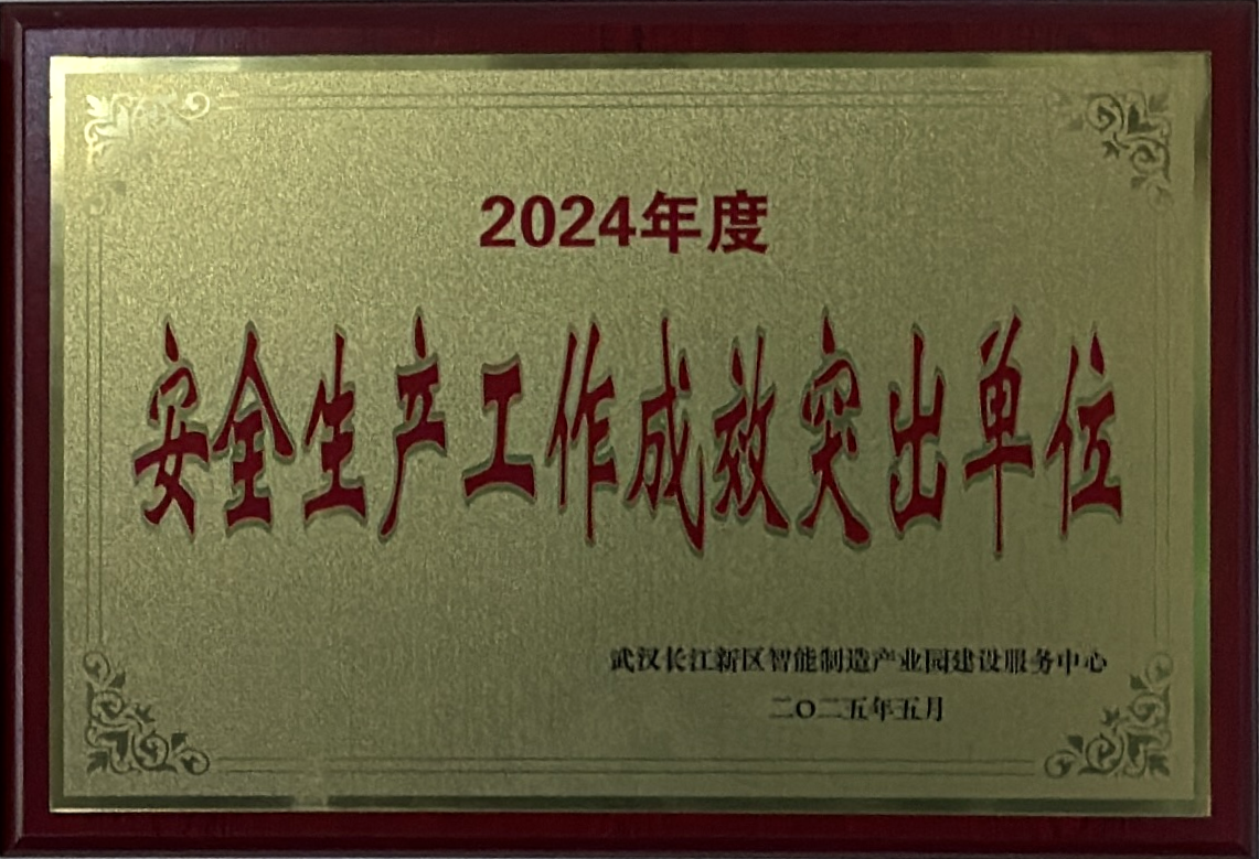 荣誉证书 10