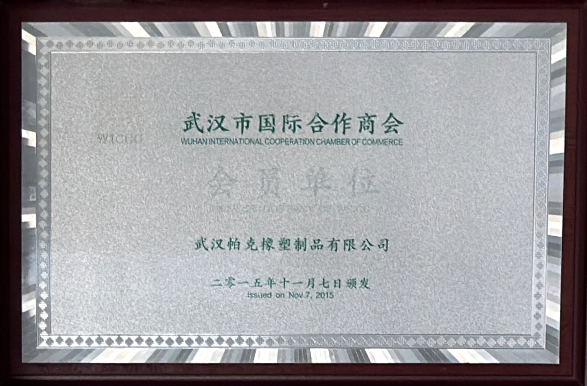 荣誉证书 3